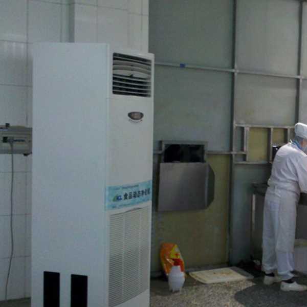 仙桃食品正负离子空气杀菌器